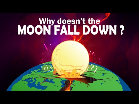 Why doesn't the Moon fall down?