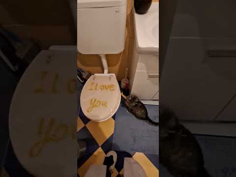 Milka/školjka za wc😂🤪