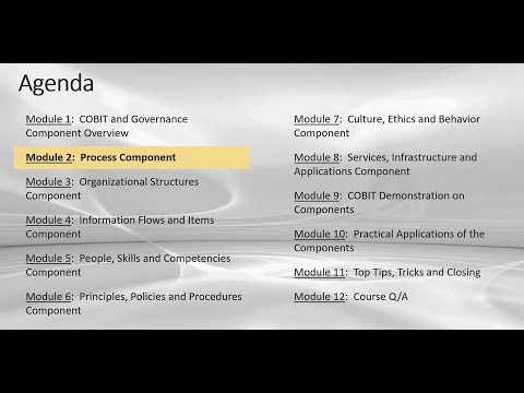 COBIT Governance Components:  A quick review of the process component