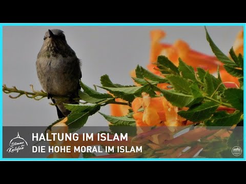 Haltung im Islam - Die hohe Moral im Islam | Stimme des Kalifen