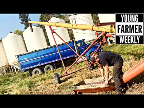 How To Unplug a Combine | Oat & Canola Harvest