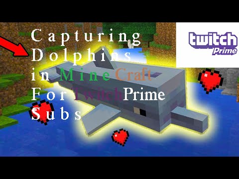TRAPPING dolphins in minecraft for twitch prime subs