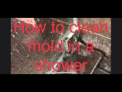 Remove Black Mold From Clear Silicone Instructions