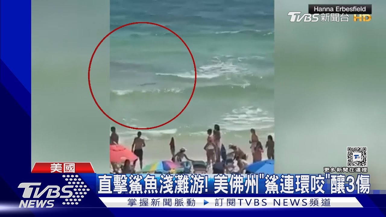 美國佛州「鯊連環咬」釀3傷 目擊者直擊鯊魚淺灘游