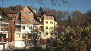 preview picture of video 'Apartmán v Rokytnici nad Jizerou'