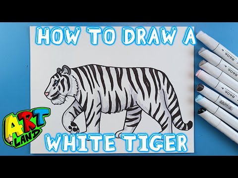 How to Draw a WHITE TIGER!!!
