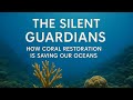 The Silent Guardians How Coral Restoration Is Saving Our Oceans