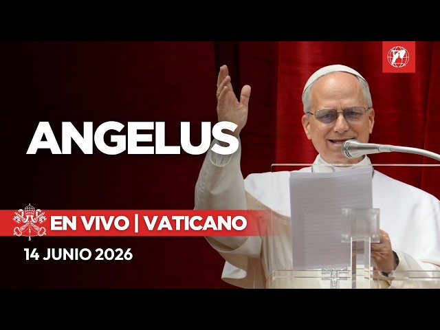 Vídeo relacionado con Papa Católico Santo Santo Religioso Vaticano Sudadera con Capucha