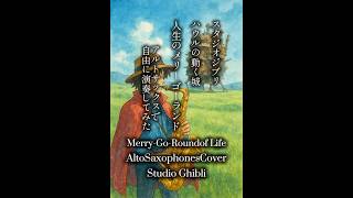 Download lagu 【気分奏】Merry-Go-Round of Life / 人生のメリーゴーランド アルトサックスで演奏してみた / AltoSaxophoneCover mp3