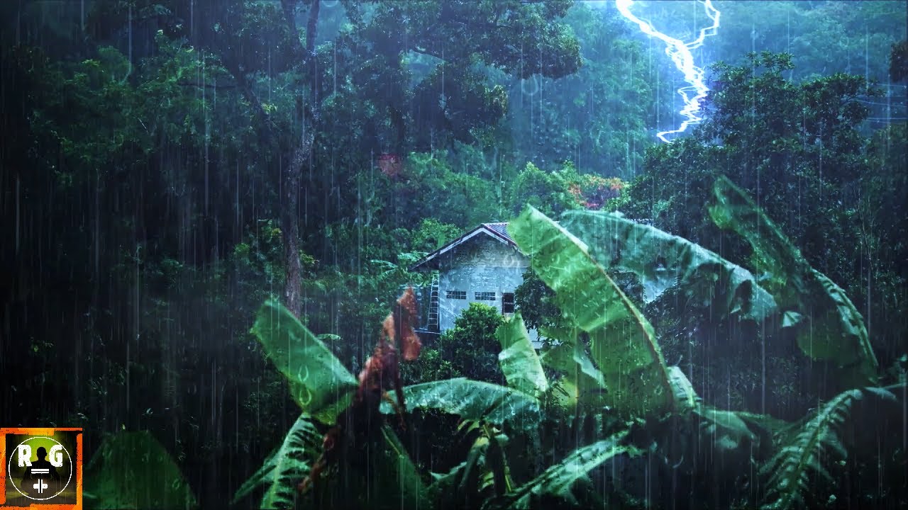 Rainforest Ambience: Rain Sounds, Jungle Animals and Thunder in the Distance | Relaxing Sleep Sounds
