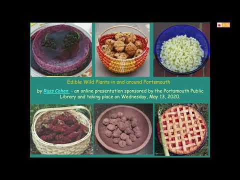 Wild Edible Plants 5 13 20