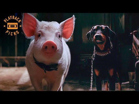 The Stray Dog Chase (Full Scene) | Babe: Pig in the City