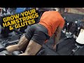GLUTES & HAMSTRINGS WORKOUT with ULISSES