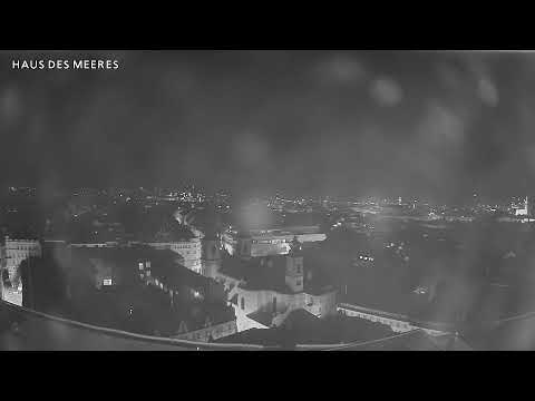 Haus des Meeres - North thumbnail