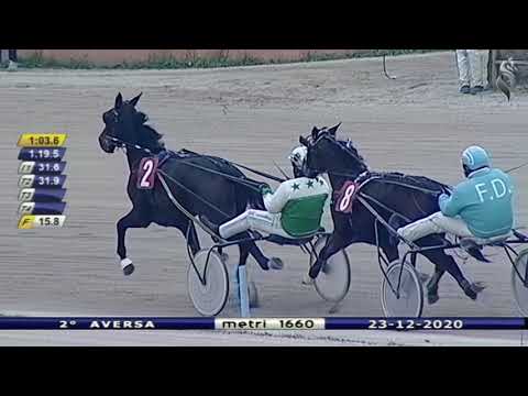 Aversa trotto 23 Dicembre 2020 - 2° Corsa