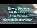 How to remove pet hair (especially short hair) from your vehicle