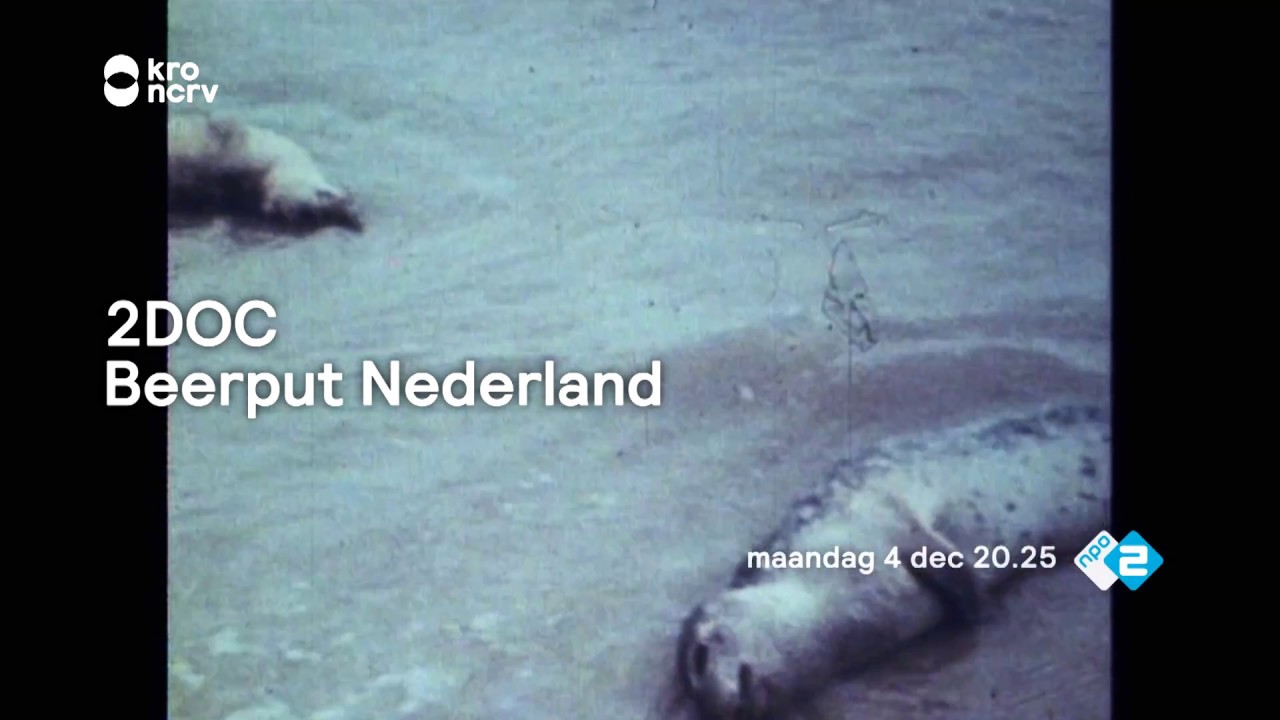 Placeholder from YouTube