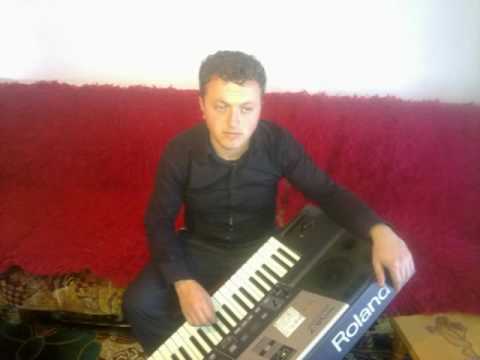 zahir bislimi   nje pik loti keng dashnie