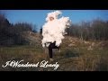 I Wandered Lonely as a Cloud - Is this how ...