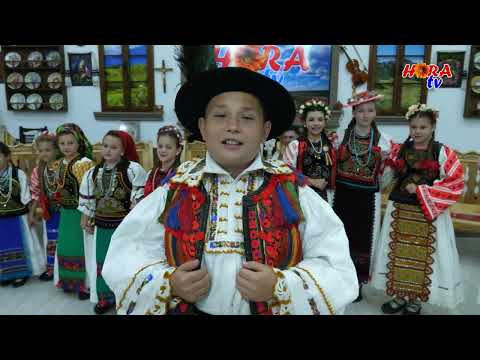 STEFAN VEJA - EU IS FECIOR LATUREAN