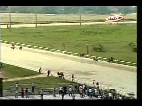 Resumen Viernes, 29 de Noviembre de 2013 - Valencia