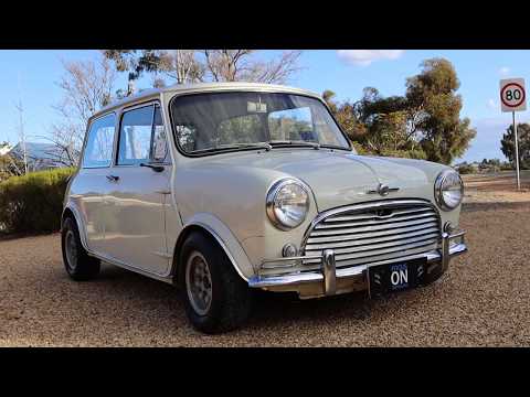 Performing A Cut & Polish On A Morris Mini Cooper S Topped With BeadLock Pro | FocusOnDetailing