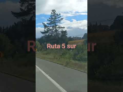 desde San Pablo a Rio Bueno region de los Lagos ruta 5 Sur