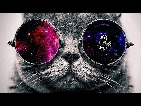 MARKIPLIER'S EARGASM THERAPY | Catlateral Damage Redux