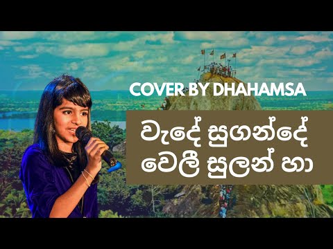 වැදේ සුගන්දේ  - Cover - ධහම්සා මාදම්පිටිගේ