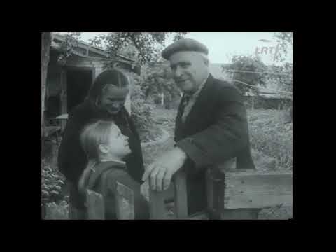 Veronika Povilionienė_ Lėk, sakuole, per marių