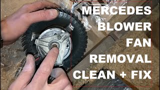 Mercedes Blower Fan Removal + Fix Squealing