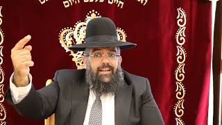 הרב משולם כהן שליט"א הלכות בציעת הפת תשפ"א