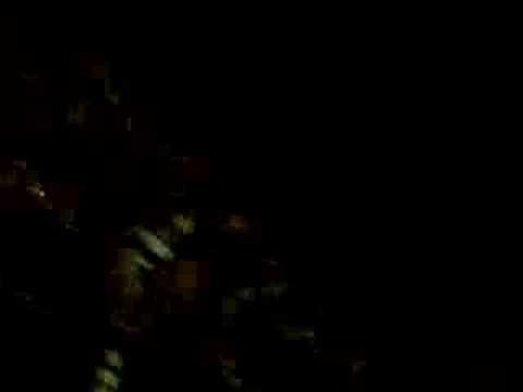 ZSC Lions - HC Servette - victory