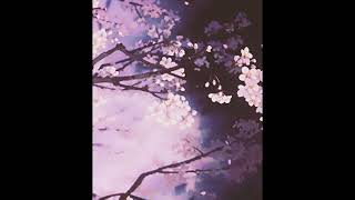 Download lagu Kiss Me More ft. SZA - Doja Cat [𝙎𝙡𝙤𝙬𝙚𝙙   𝙧𝙚𝙫𝙚𝙧𝙗] mp3