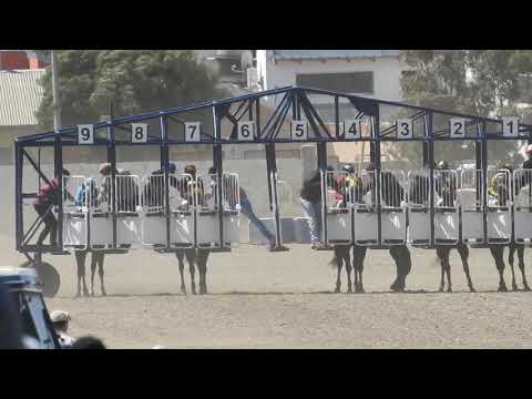 BLACK PERRY-RADA TILLY-4/11/2018