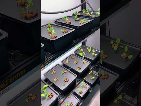Give your veggies the perfect home with @SpiderFarmer Smart G12 Hydroponic Grow System