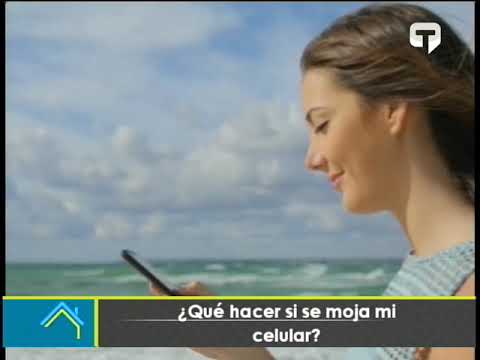 ¿Qué hacer si se moja mi celular?