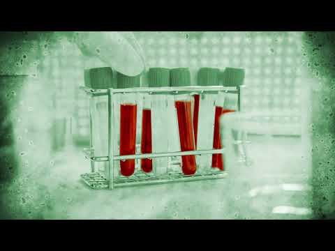 50 Clues: Sunshine Island - Escape game - Trailer