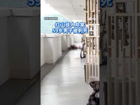 红山一带的麟谷峇鲁第55座组屋发生一起命案，一名男子死亡。#8视界新闻网 #sgnews #fatal #lengkokbahru #stab