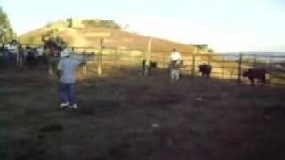preview picture of video 'Toros en Altamirano Parte 3'