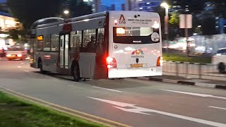 (Mediacorp CNA Full Body Advertisement) SMB1339C On Service 853M At Yishun Central 1