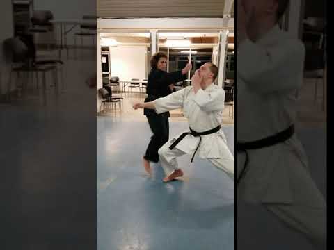 Seiken Chudan Uchi