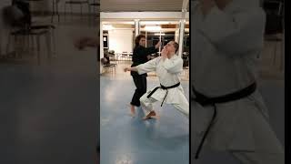 Seiken Chudan Uchi
