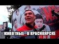 Животные в Красноярске 