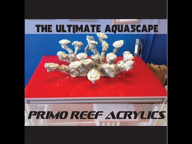 The ULTIMATE Aquascape