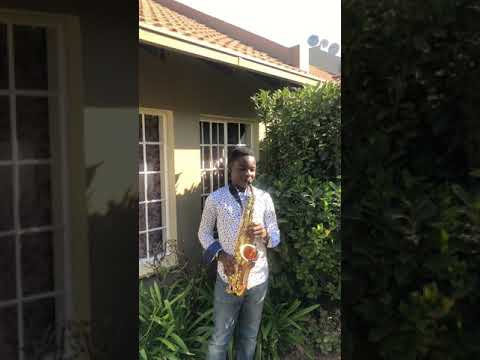 My Heart Will Go On - Celine Dion (Saxophone Cover)