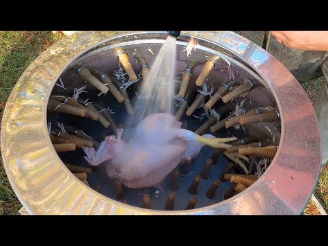 The Absolute Fastest Way to Process a Chicken