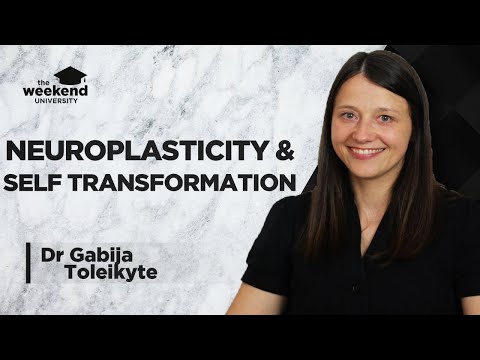 Neuroplasticity and Behaviour Change – Dr Gabija Toleikyte