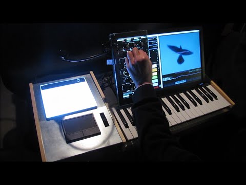 Silhouette eins - dove dance - (feb. 2022)