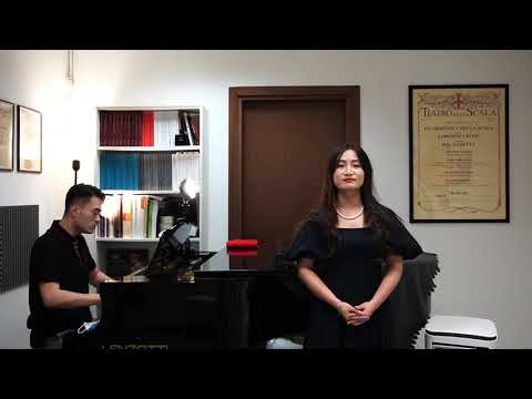 zhangyichen Seidler n.11